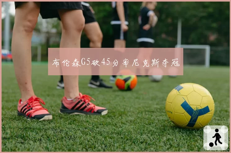 布伦森G5砍45分率尼克斯夺冠