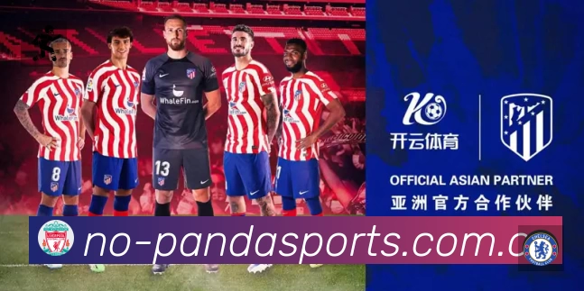 赛事回放与集锦